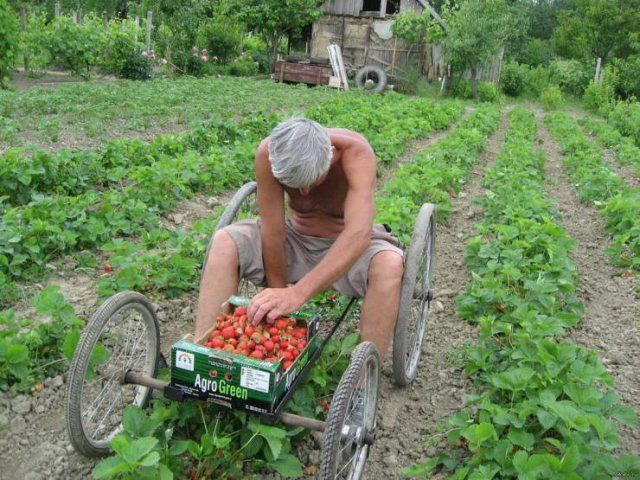 Autors: es tēvocis Šie cilvēki var praktiski visu, salabot, pilnveidot un izdomāt...