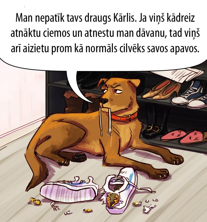 Autors: matilde Kā būtu, ja mājdzīvnieki spētu runāt ar cilvēkiem (11 komiksi)