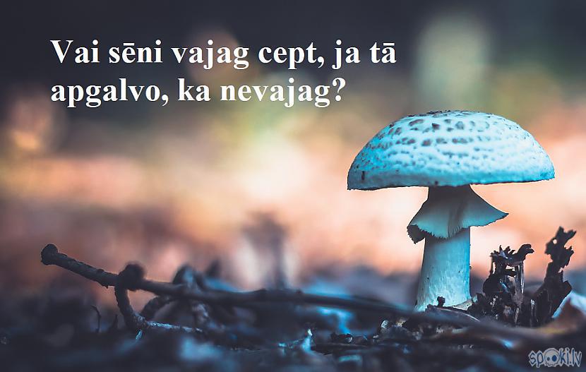 Spoki joko
