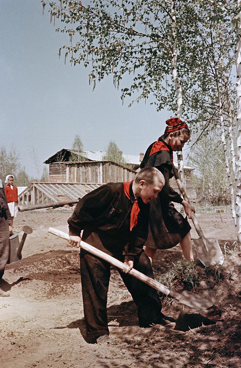 Ļoti vērtīga fotogrāfija... Autors: Lestets Padomju laika iestudētās fotogrāfijas