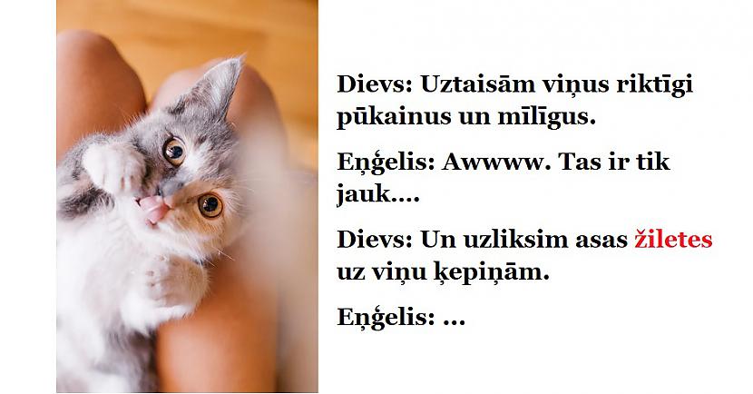 JOKI: Kā patiesībā tika radīti dažādi dzīvnieki?