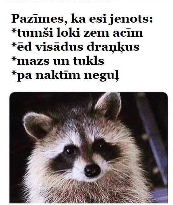 Autors: The Diāna Smieklīgu memīšu izlase ceturtdienai!