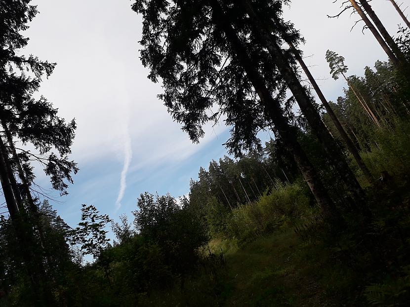 Autors: Griffith Atvaļinājums - 27. augusts, 2019, 1/2 daļa.