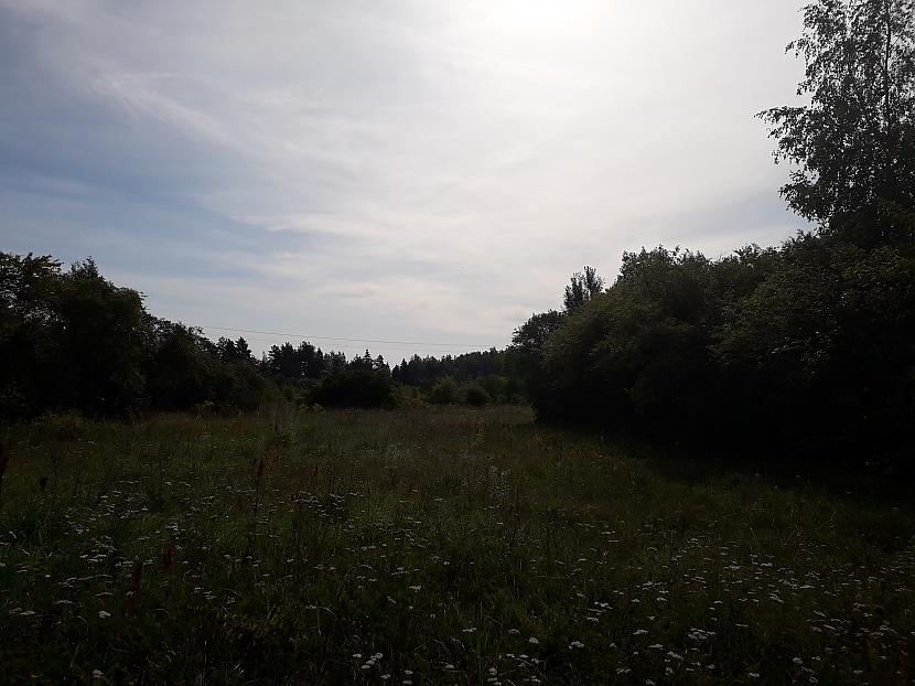 Autors: Griffith Atvaļinājums - 27. augusts, 2019, 1/2 daļa.