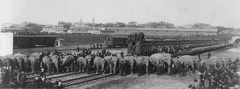 1944 gada 5 jūlijā Hārtfordā... Autors: Testu vecis Diena, kad klauni raudāja - Hārtfordas cirka ugunsgrēks
