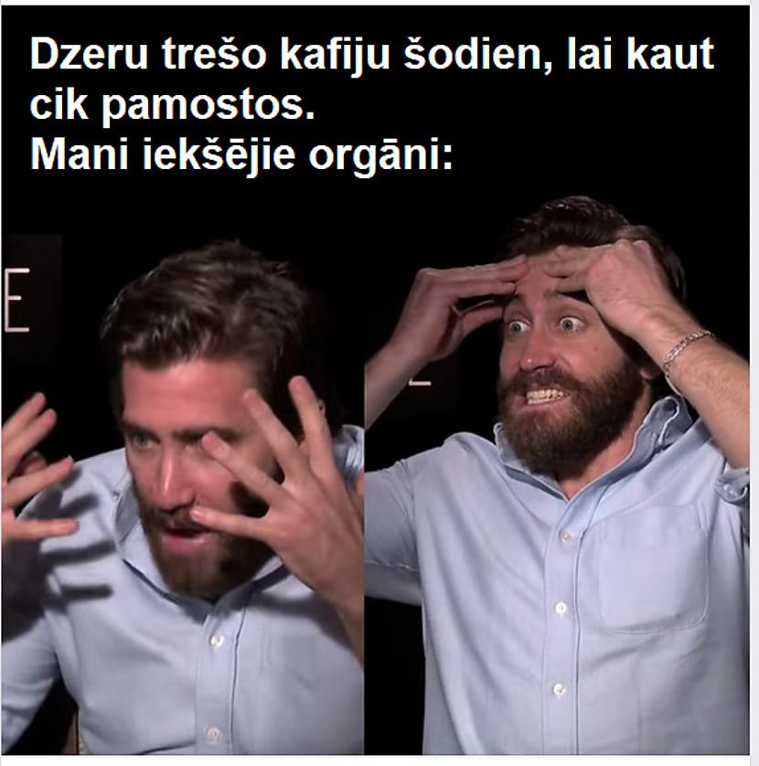 Autors: The Diāna Memīšu izlase labākam noskaņojumam (20 attēli)