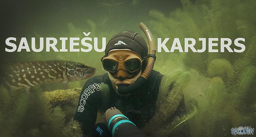 Autors: Artfilm Sauriešu karjers - zemūdens pasaule / under water / dabas bērns