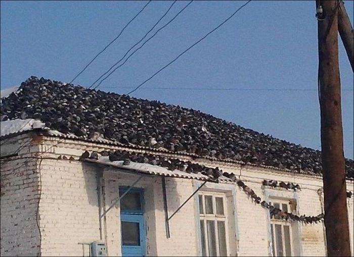 Iet pa ceļu Sniegbaltīte... Autors: es tēvocis Asorti ar tekstu šodienai (13.12.2019)