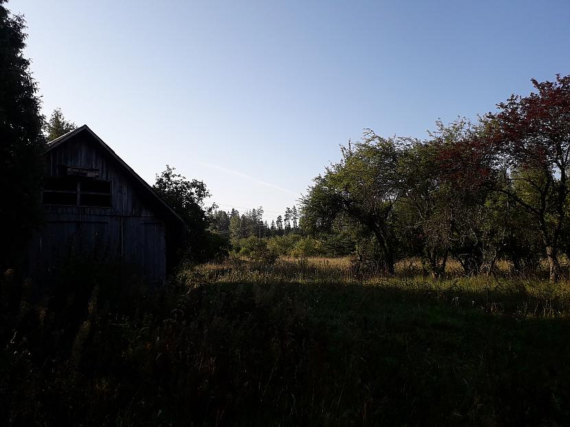 Autors: Griffith Atvaļinājums - 28. augusts, 2019. 1/2 daļa.