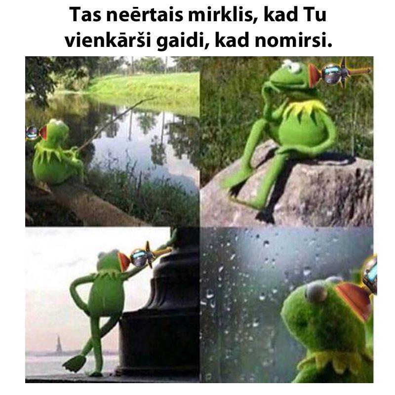Autors: matilde 14 memītes, kuras sapratīs katrs, kurš kaut reizi ir spēlējis «Fortnite»