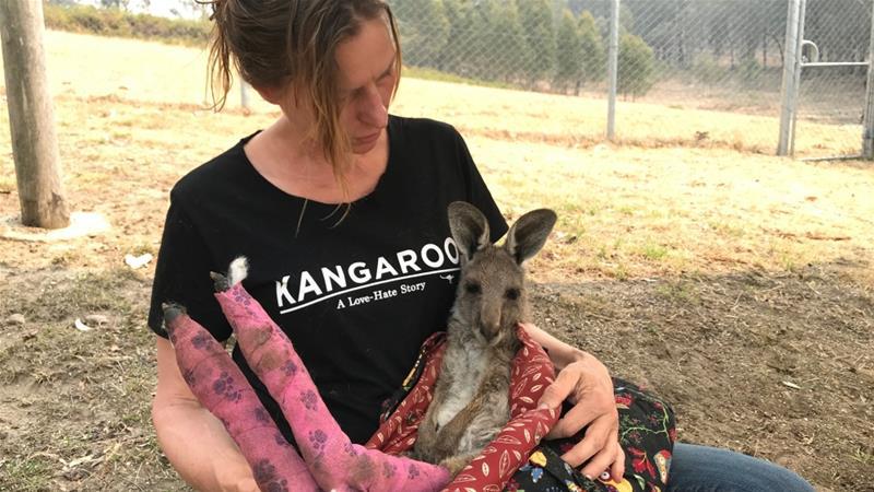 Autors: Pendragons13 Ļoti skumji attēli no Austrālijas meža ugunsgrēkiem
