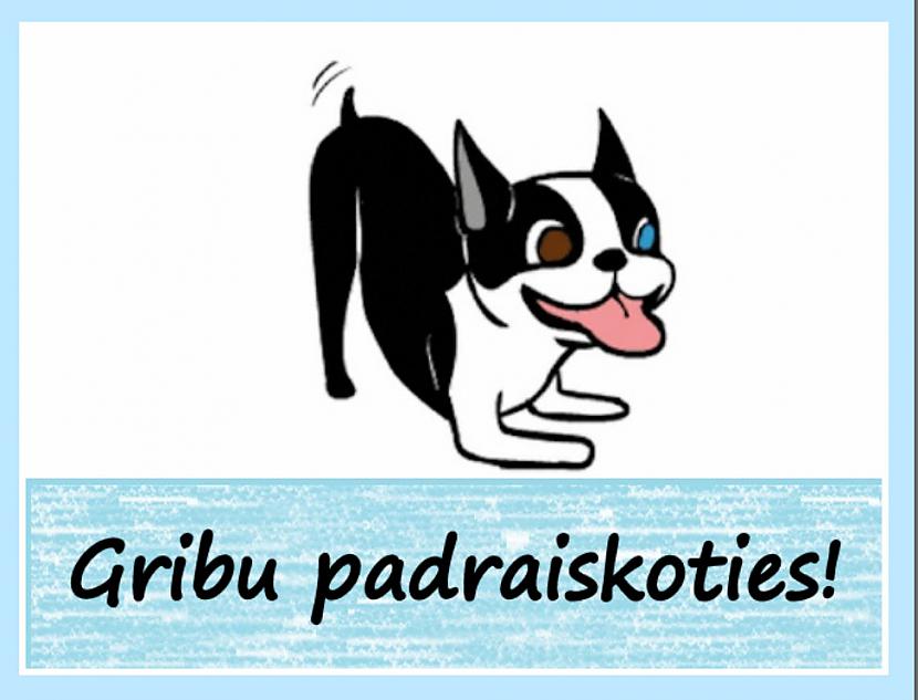Autors: rasiks Suņa ķermeņa valoda