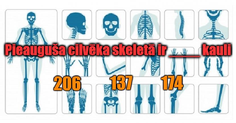 TESTS: Pārbaudi, vai zini šos ar skaitļiem saistītos faktus