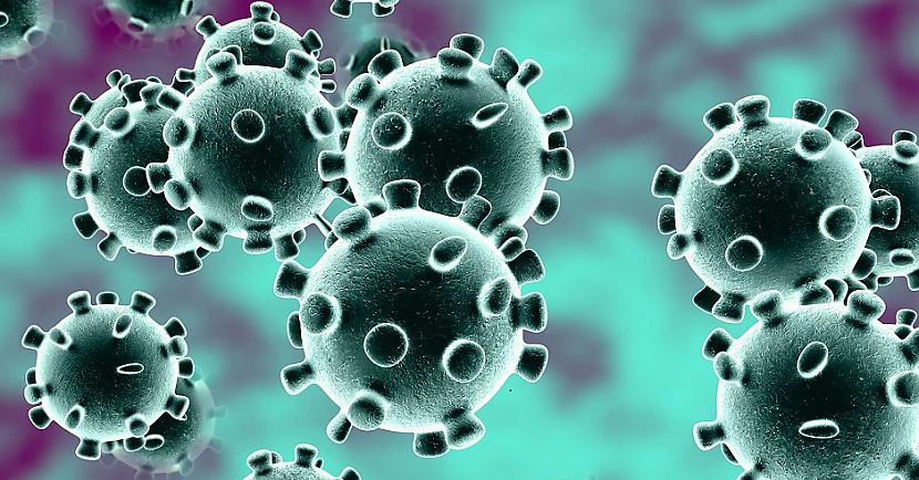nbspMinētā laboratorija tika... Autors: Lestets Reiz tika brīdināts, ka koronavīruss no Vuhaņas laboratorijas var nejauši izmukt