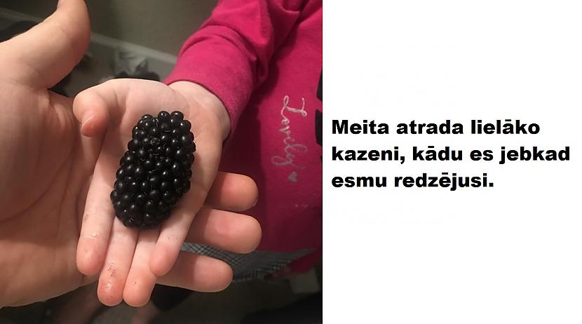 Autors: The Diāna 20 attēli, kas izskatās viltoti, bet ir īsti