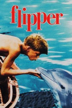Flipers Par šo atceros... Autors: Moonwalker Ko es lūrēju bērnībā.