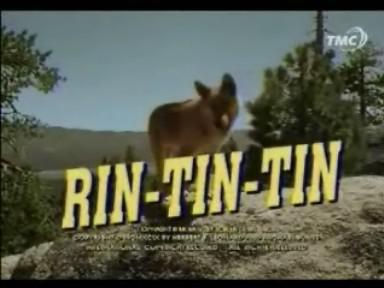 Rin Tin Tins Kaut kas... Autors: Moonwalker Ko es lūrēju bērnībā.