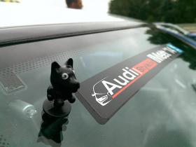 Audi meet's