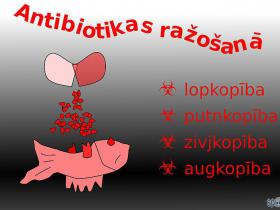 Antibiotikas ražošanā