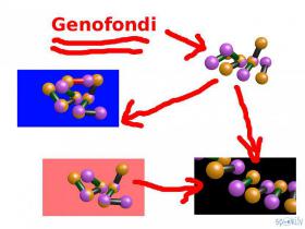 Genofondi