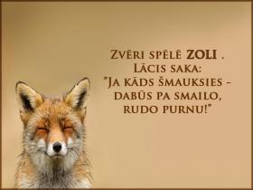 Zolmaņu līgas asorti