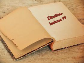 Literatūras konkurss #8