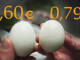 Kādas olas izvēlēties Lieldienām?