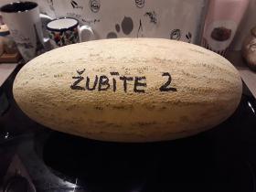 FS Melone