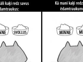 10 patiesi komiksi par kaķiem un kaķu saimniekiem