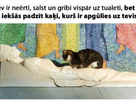 12 «Twitter» joki, kas īpaši nepatiks tiem, kuri ātri apvainojas