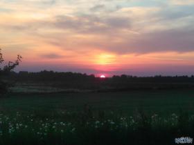 Pasaciņa.