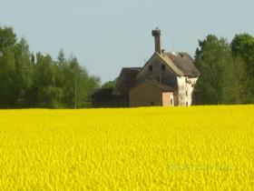 Kas tev obligāti jāizdara Jaunajā gadā!