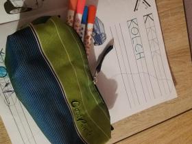 Fs Das Pen Anālis (Izpuļķots- LABOTS)