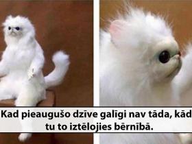 Smieklīgi attēli otrdienai!