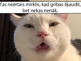 Smieklīgi attēli trešdienai!