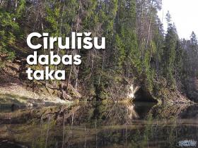 Kā TO dara vardes?