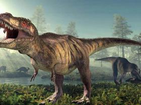 Cik daudz tu zini par dinozauriem?