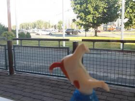Aptauja: Kas tev patīk labāk?