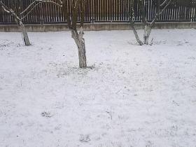 Šūpoles ziemā