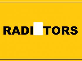 TESTS: Ievieto latviešu valodas vārdā trūkstošo burtu