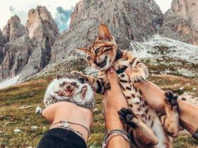 Vairāk nekā tikai vienkārši foto