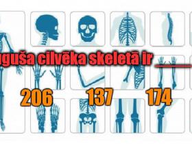 TESTS: Pārbaudi, vai zini šos ar skaitļiem saistītos faktus